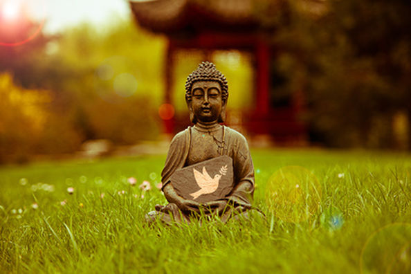 479449_55f70bbaa06a46f98e9549cda415054f