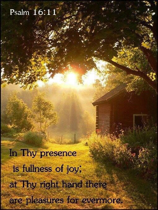 79c836dc6cc378907abe7293c3e300f6--country-living-country-life