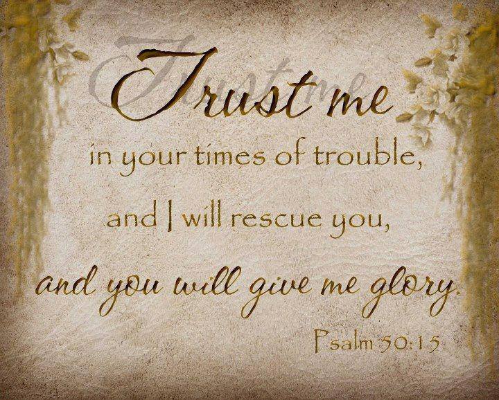 969329_537016783026094_71112807_n