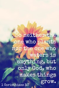 1102913a0e722869edfb0eec3f43c466