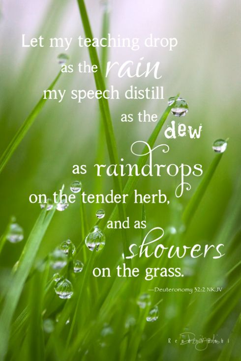 ed3b1990e5a650ad67f5ad78b2e6ffd3--rain-drops-the-rain