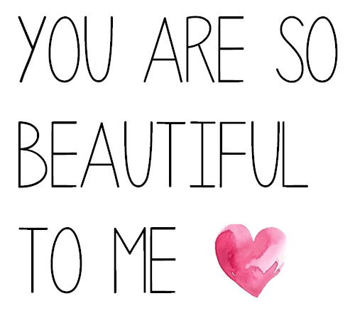 62b6a746b0f779e51721176f50132519