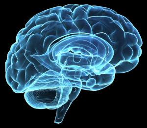 Screen-Shot-2018-01-03-at-15.10.42-1024x895