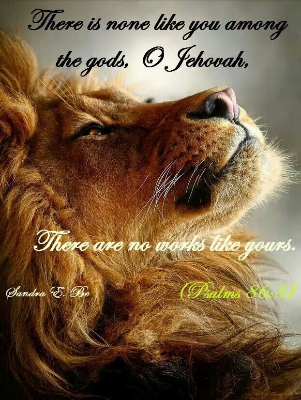 85d81ac7ab8a0b3947d92604f1091b4f