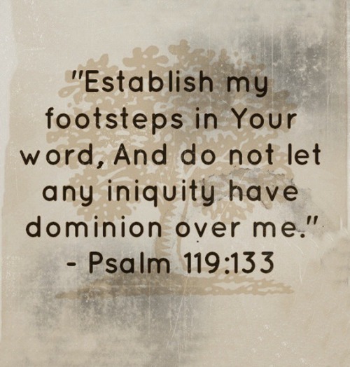 tumblr_otbk05sOf61s91yx0o1_500