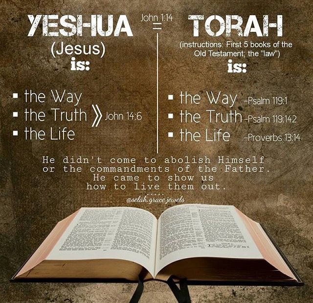 f2e1313800481d6175e4763ee23b4aeb