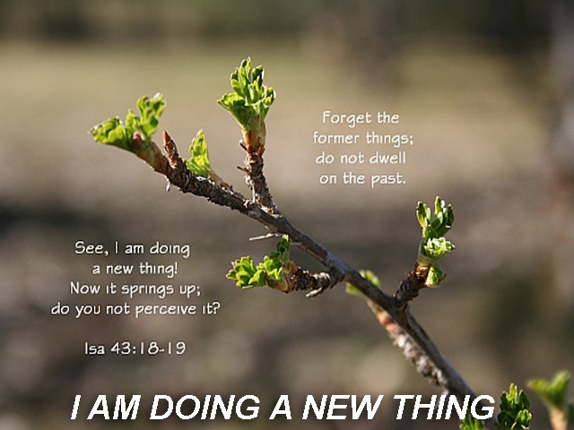 x-i-am-doing-a-new-thing