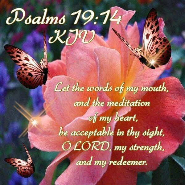 fe592f38a3eecb4f88f6409936bd579f--gods-plan-bible-truth