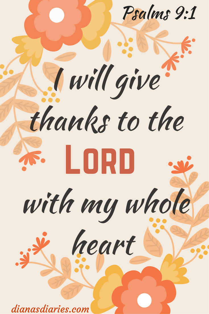 41aafb16b00f0b98d618c5549a3ca63f