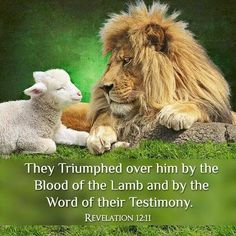 c4016ba7e2b2ce55184f0edf694d9dd8--the-lion-lamb