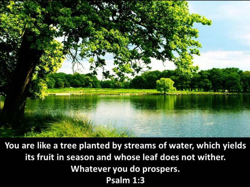 presentation1_12_orig