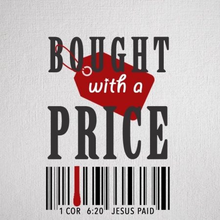brought-with-a-price-450x450