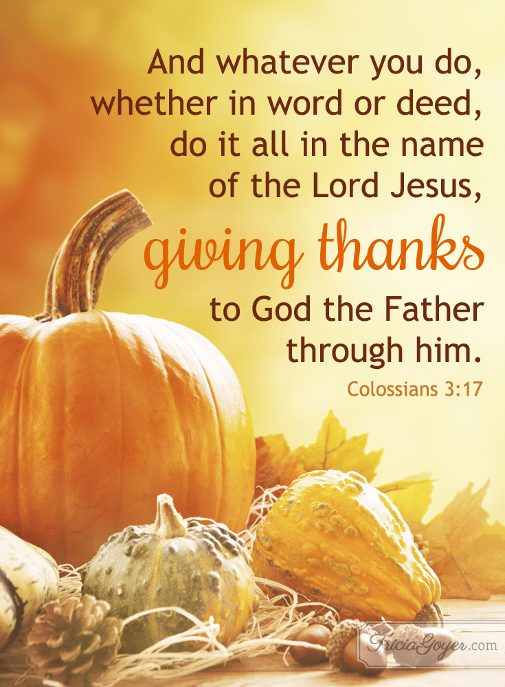 colossians-3-17