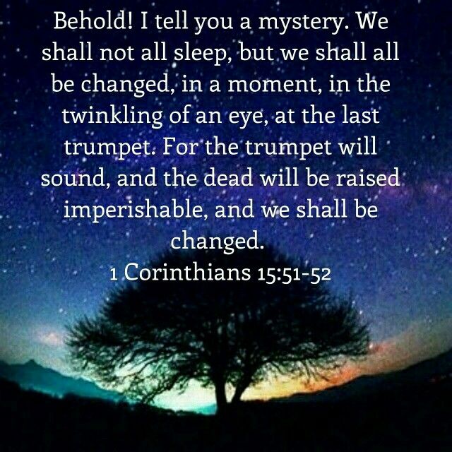 841e7d580c0080979e32b1b44669740d