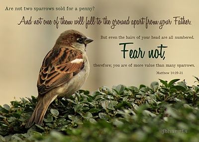 ae7989f5e67888a05e0be0e946966a2a