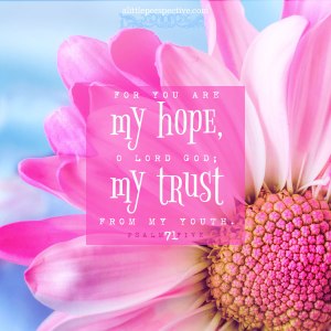 psa-71-5-JPS-pixabay-9x