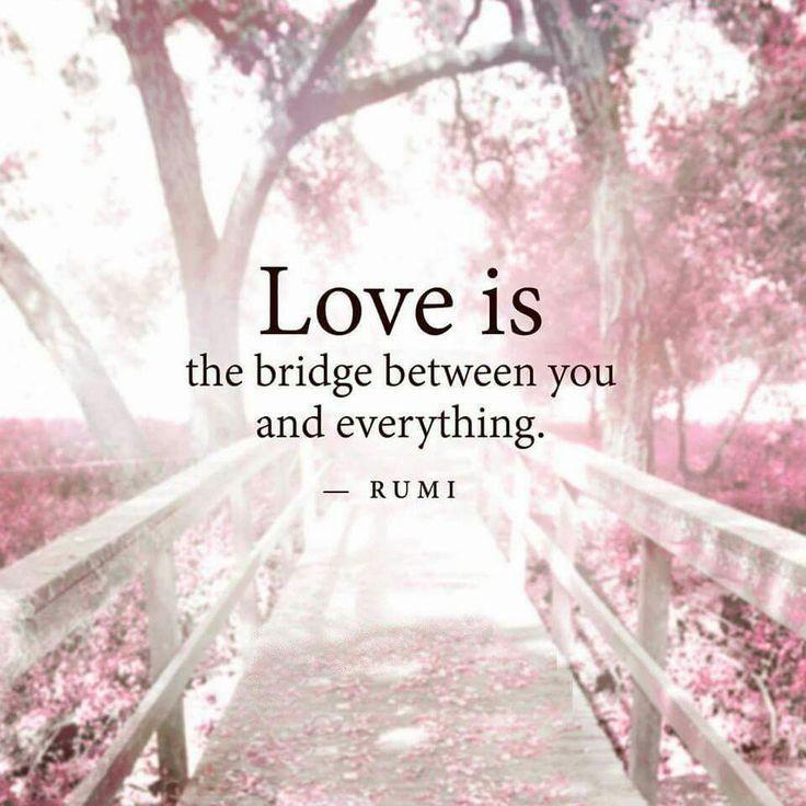 love-is-a-bridge-between-you-and-everything-quote-1